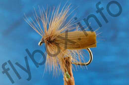 Cinnamon Sedge